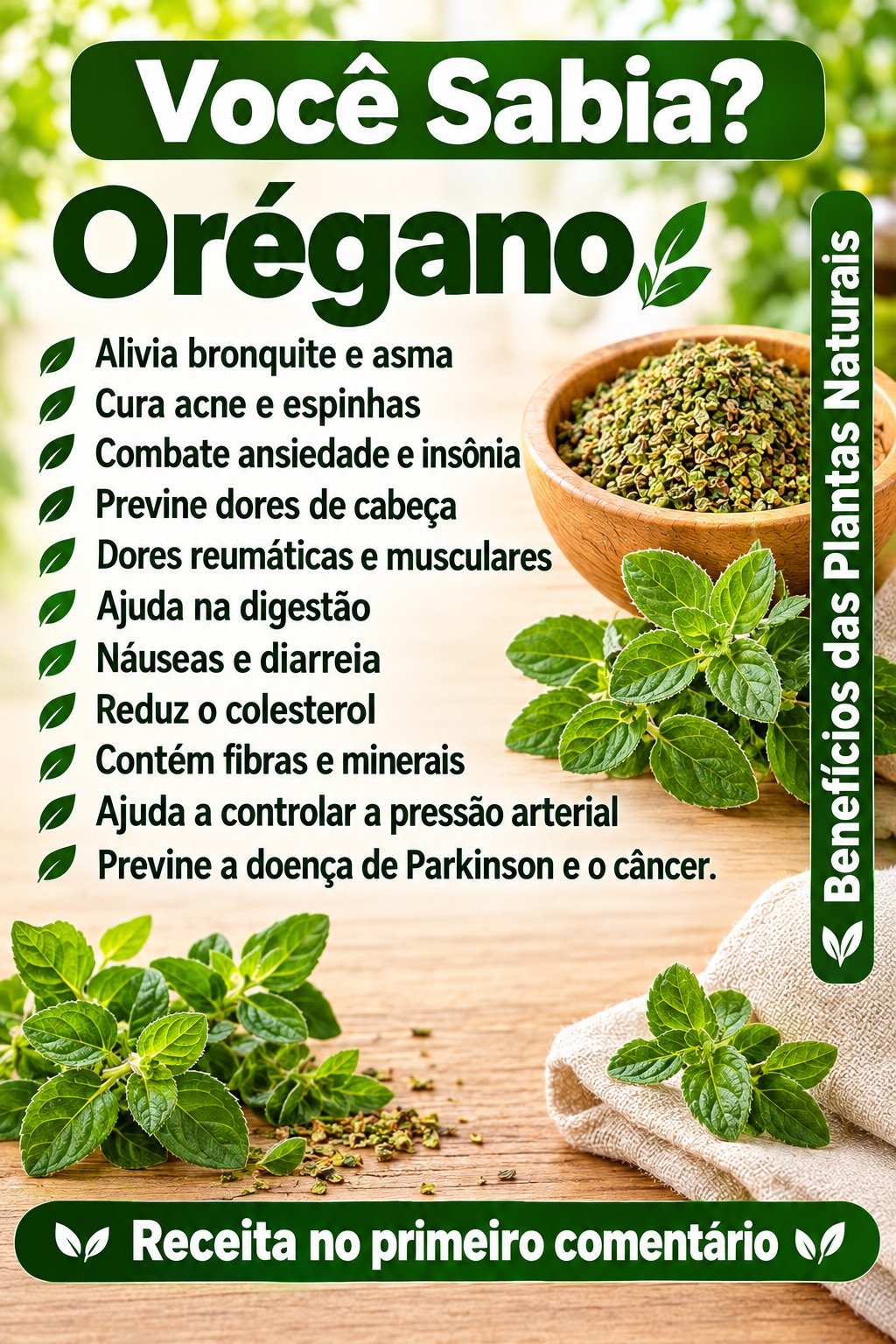 Benefícios do Orégano